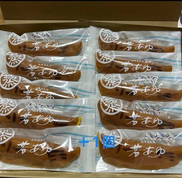 薩摩蒸気屋 今の季節限定品 若鮎10+1個セット