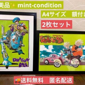 ドラゴンボール デスクトップリアルマッコイ イラスト 2枚セット A4 額付き