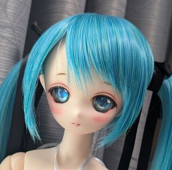 姉姫 カスタムヘッド ホワイティオビツ ドール