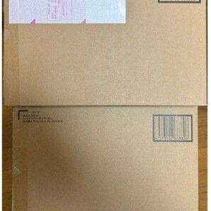 METAL BUILD ストライクフリーダムガンダム +光の翼オプションセット