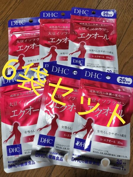 DHC エクオール 20日分 6袋 120日分 大豆イソフラボン