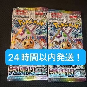 テラスタルフェスex 2パック