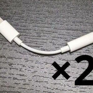 Apple 変換アダプタ