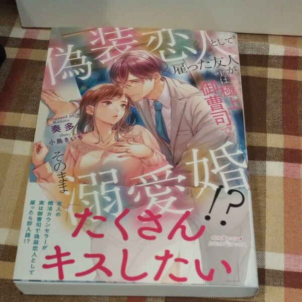 偽装恋人として雇った友人が実は極上御曹司でそのまま溺愛婚!? (ルネッタブックス LBL-100) 奏多/著