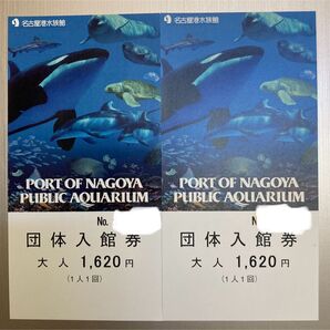 名古屋港水族館 入館券 大人2枚セット