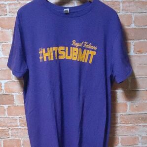 アメリカ古着 RoyalFalconsTシャツ anvilアンビルパープル #HITSUBMIT サイズL