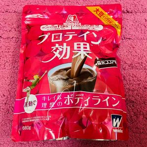 プロテイン効果 森永ココア味 660g
