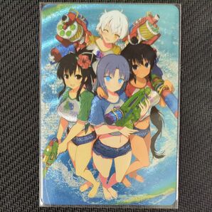 コレクション用 ACGカード 閃乱カグラ ③