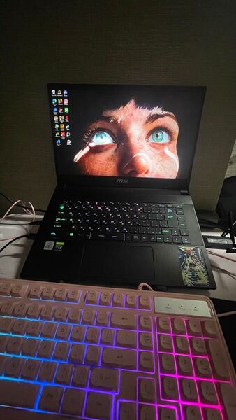 Msi gs66 stealth 10sf rtx 2070 300hz