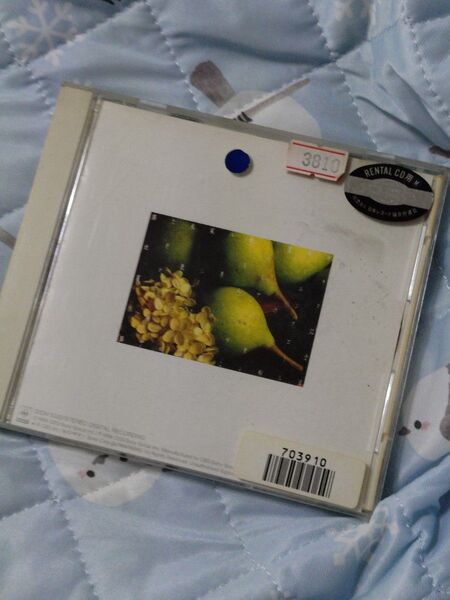 渡辺典子 CD サラダ記念日