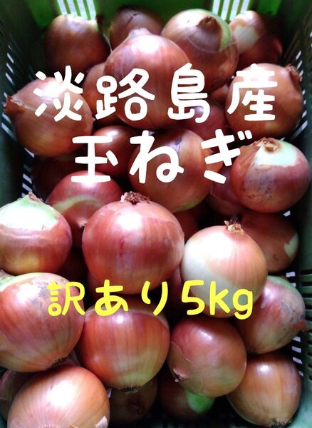淡路島産玉ねぎ◎訳あり5kg◎もみじの輝き