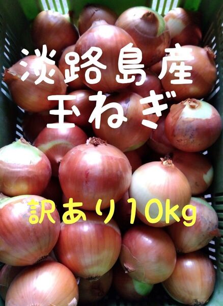 淡路島産玉ねぎ◎訳あり10kg◎もみじの輝き