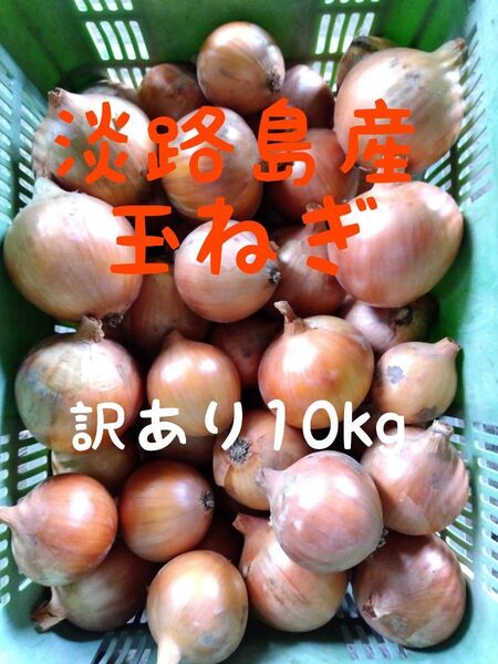 淡路島産玉ねぎ◎訳あり10kg◎もみじの輝き