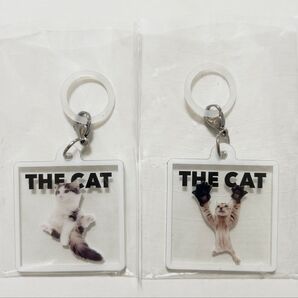 THE CAT AND FRIENDS フラットめじるしアクセサリー 2種セット