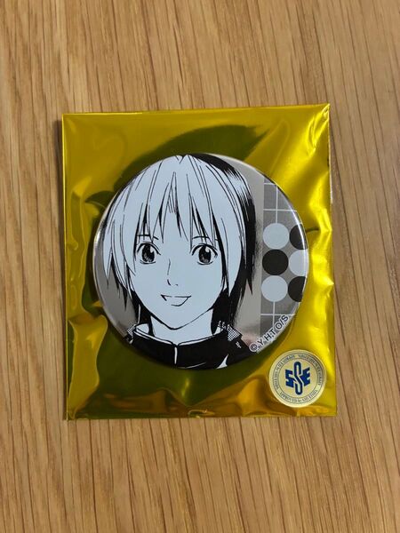 ヒカルの碁 原画展 推しキャラバッジコレクション 進藤ヒカル