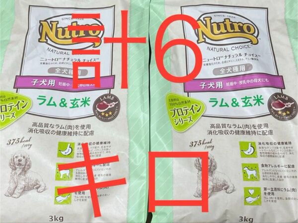 ニュートロ ナチュラルチョイス ラム玄米 子犬用 ドッグフード 計6キロ