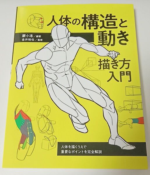 人体の構造と動き 描き方入門 中古