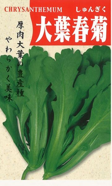 大葉春菊の種 50粒 固定種 無消毒種子 野口種苗 家庭菜園 プランター栽培 コンパニオンプランツ