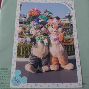 スペシャルフォト ディズニー TDL ミスバニー とんすけ 2015 イースター