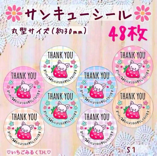 S1 サンキューシール 苺猫ちゃん 丸型サイズ オリジナル 8色48枚セット
