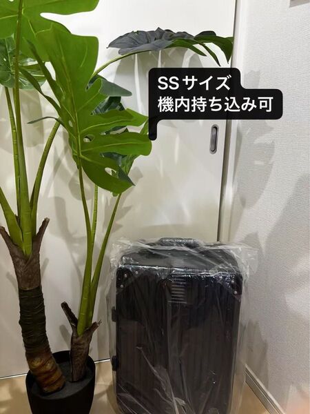 SSサイズ(55*36*23.5cm) 35L アルミフレーム キャリーケース