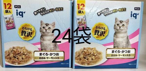 iq+ アイキュープラス ゼリー仕立て まぐろかつお ささみサーモン入り 60g 12袋入×2箱 計24袋