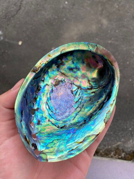 ニュージーランドアワビ貝 アバロン貝 美品 色合い綺麗 置物 お寿司皿 小物入れ