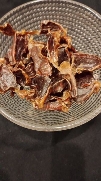 犬猫用 砂肝ジャーキー 40g