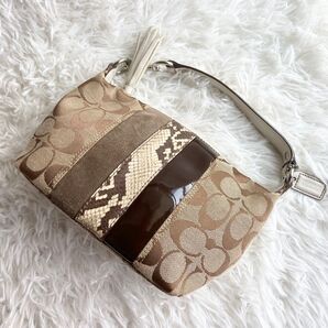 極美品 COACH コーチ アクセサリーポーチ ミニバッグ シグネチャー パイソン エナメル