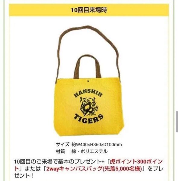 阪神タイガース2wayキャンバスバッグ ファンクラブ限定
