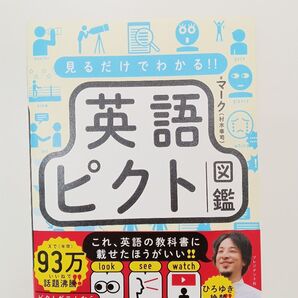 見るだけでわかる 英語ピクト図鑑 単行本 マーク 村木幸司