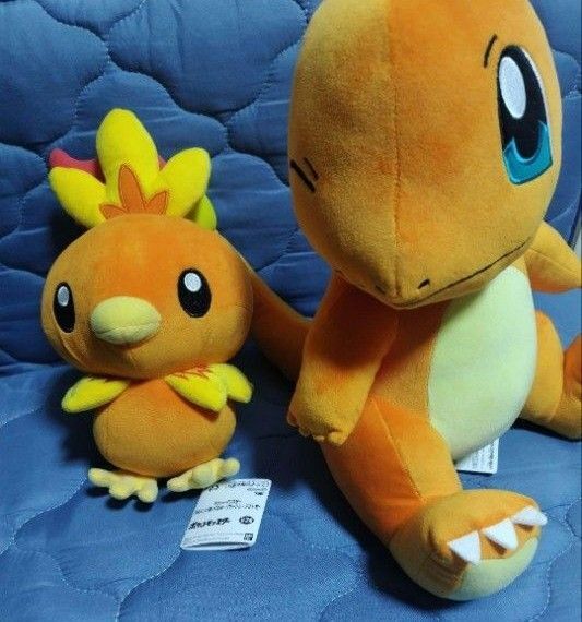 アチャモ ヒトカゲ ポケットモンスター ポケモン ぬいぐるみ 2点セット