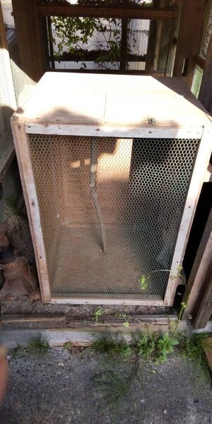 飼育 籠 鳥かご