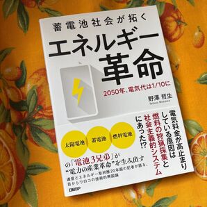 【お値下げ】蓄電池社会が拓く エネルギー革命