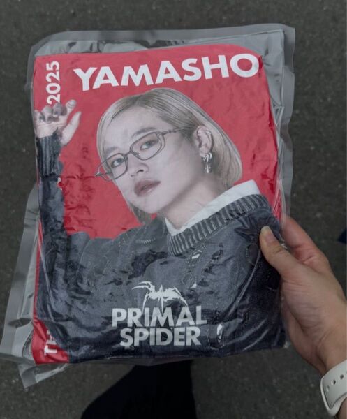 RAMPAGE PRIMAL SPIDER 山本彰吾 レアクッション