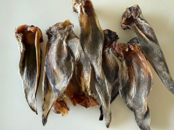 エゾ鹿耳乾燥100g 無添加犬猫おやつ
