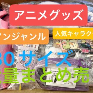 アニメグッズ キャラクター ノンジャンル ぬいぐるみ アクリルスタンド キーホルダー タオル 雑貨 大量 まとめ売り 80サイズ
