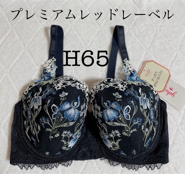 期間限定!トリンプ プレミアム レッドレーベル ブラジャー(パッドなし) H65 定価9130円