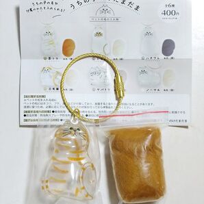 うちの子のけだまだま ワイヤーリングつき 茶トラ ガチャ カプセルトイ