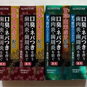 SUNSTAR サンスター 薬用塩ハミガキ 赤2&緑2