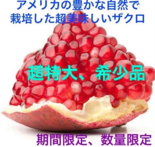 最終値下げ② 激レア特大秀品 本日新入荷 3点のみ限定出品 アメリカ産採れたて激甘 生ザクロ 石榴