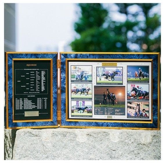 【200個限】イクイノックス 引退記念写真デザインパネル シリアルナンバー入り 競馬 JRA ルメール