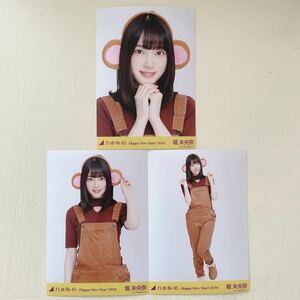 乃木坂46◆堀未央奈◆干支 2016◆申 さる◆コンプ生写真３枚◆即決