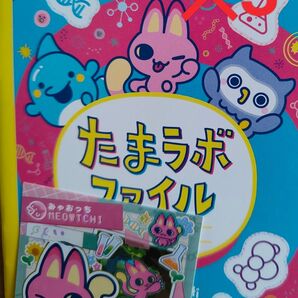 3個セット Tamagotchi Paradise 早期購入特典 2種類