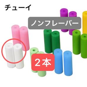 チューイ ノンフレーバー 2本 歯 矯正用 マウスピース矯正 インビザライン リテーナー 歯科矯正 アライナーチューイ ケース付