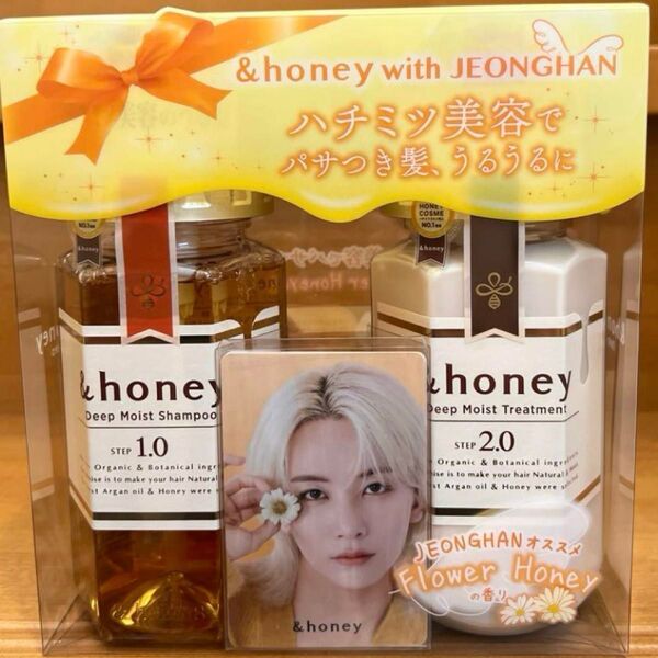 &honey アンドハニー ディープモイストシャンプー・トリートメントセット