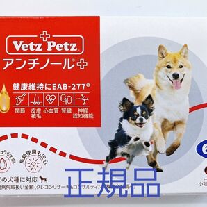 アンチノールプラス 犬用 60粒 安心の正規品