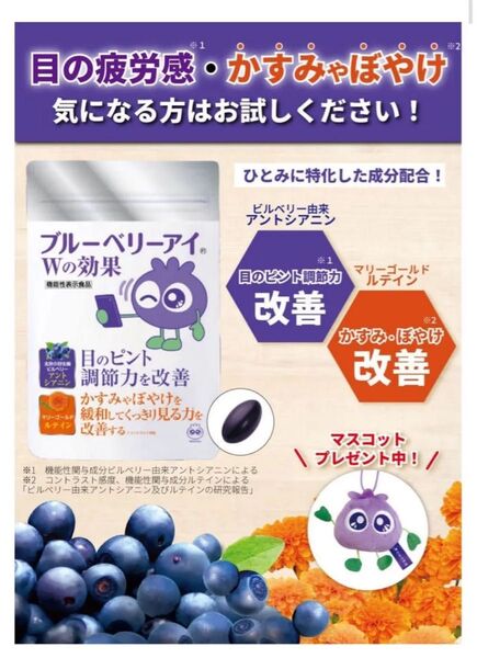 わかさ生活 ブルーベリーアイ Wの効果 2袋 機能性表示食品