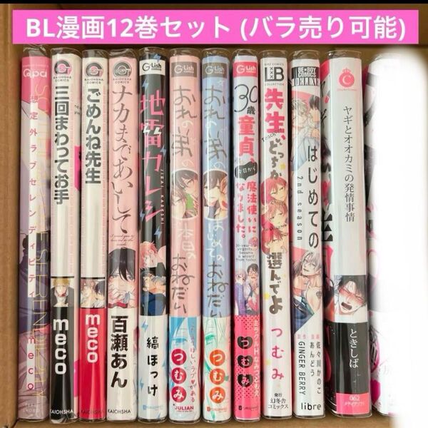 商業 BL 漫画 コミック まとめ売り
