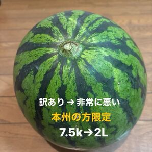 長野県産 スイカ 7.5k 訳あり 悪い ⑤